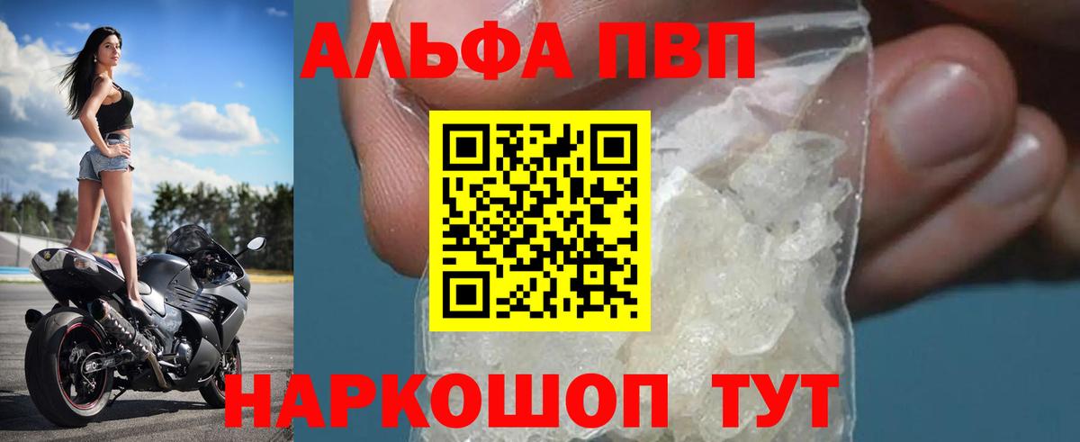 Альфа ПВП СК Рыбинск