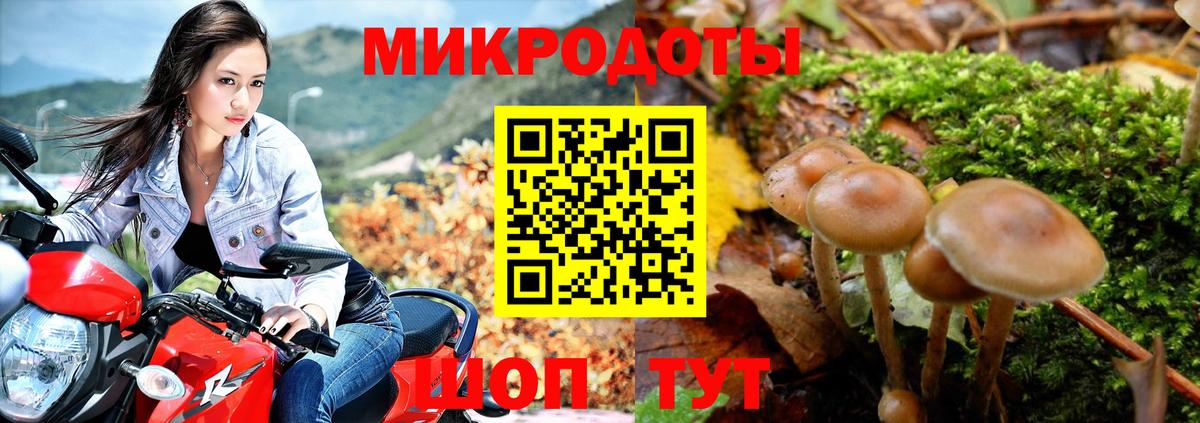Галлюциногенные грибы GOLDEN TEACHER Рыбинск