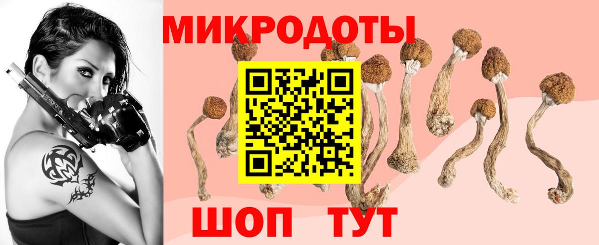 Галлюциногенные грибы мухоморы  Галлюциногенные грибы Magic Shrooms  Вход с VPN  Рыбинск 